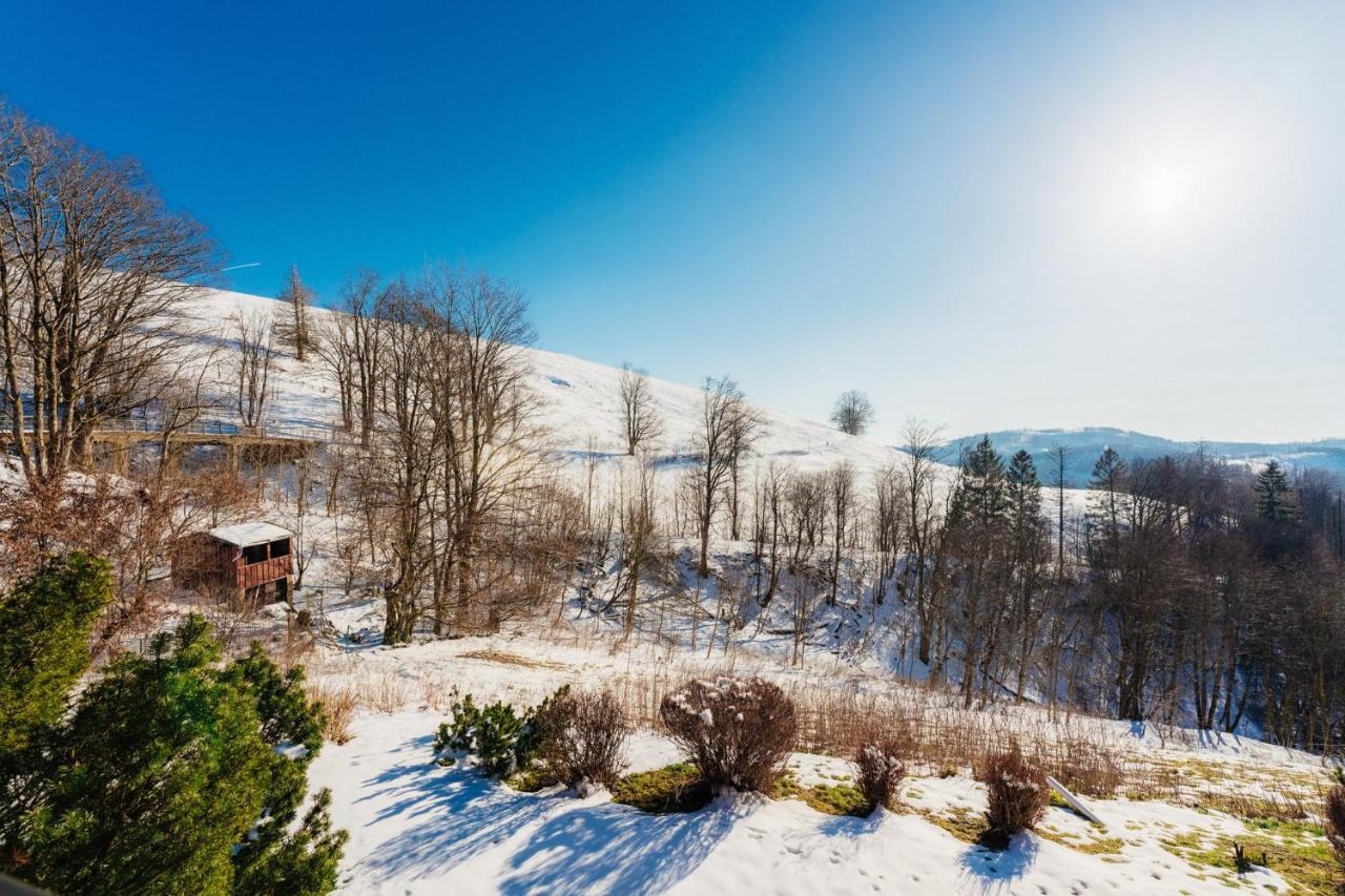 Apartamento Bergschwalbe St. Andreasberg Sankt Andreasberg Exterior foto